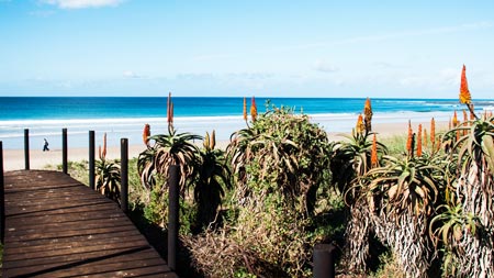 Image of Jeffreys Bay to Tsitsikamma