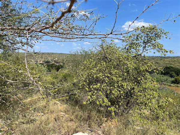 2 788 m² Land 2 788 m² Land