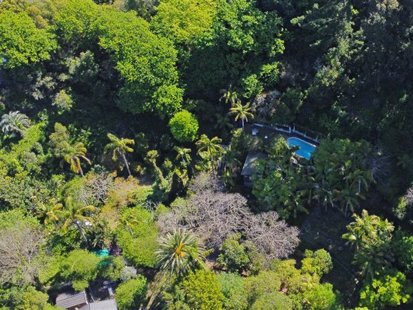 8 000 m² Land 8 000 m² Land